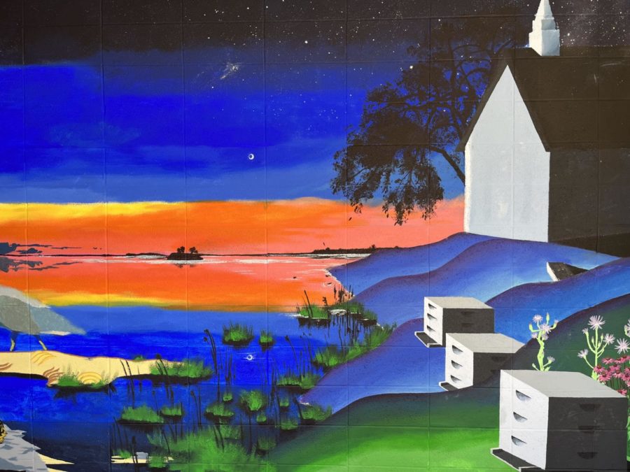 Section of the new mural in Sunshine Hall, designed and painted by alumnus Sophia Warrender, Class of 2022.